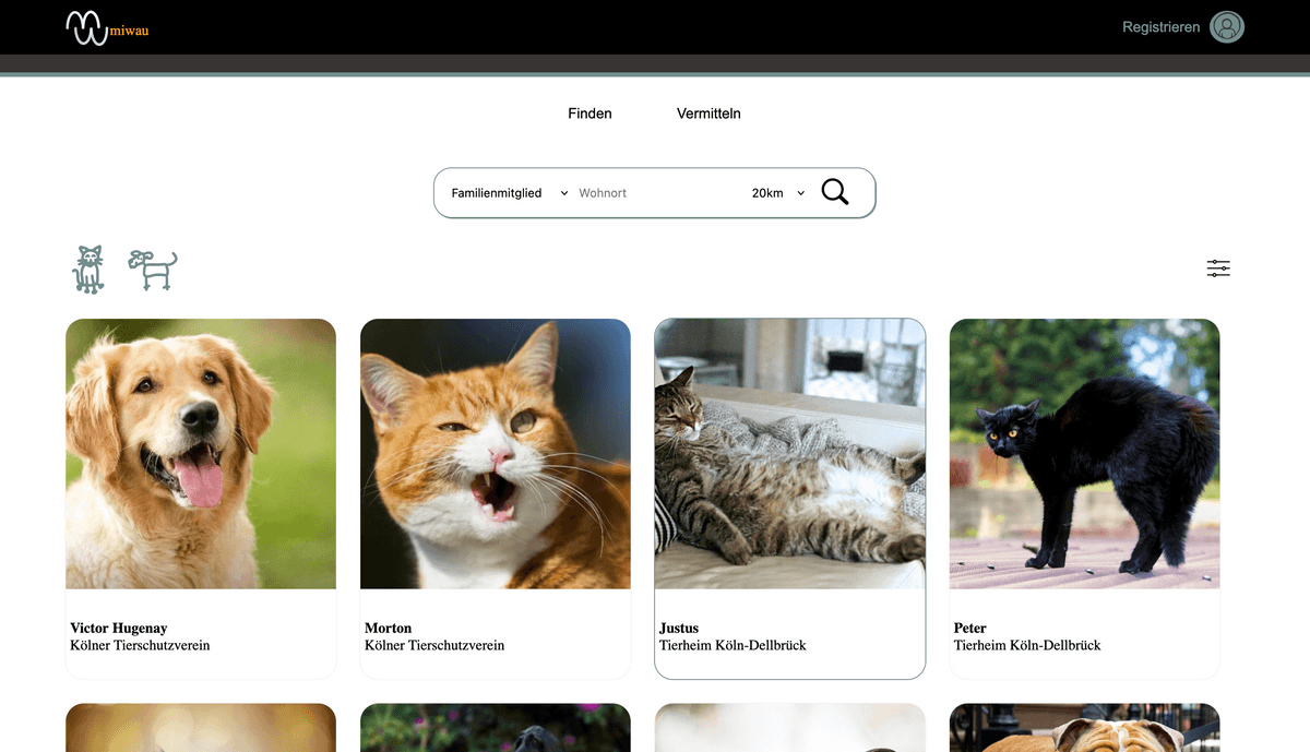 Website mit Tierprofilen von Hunden und Katzen zur Adoption.