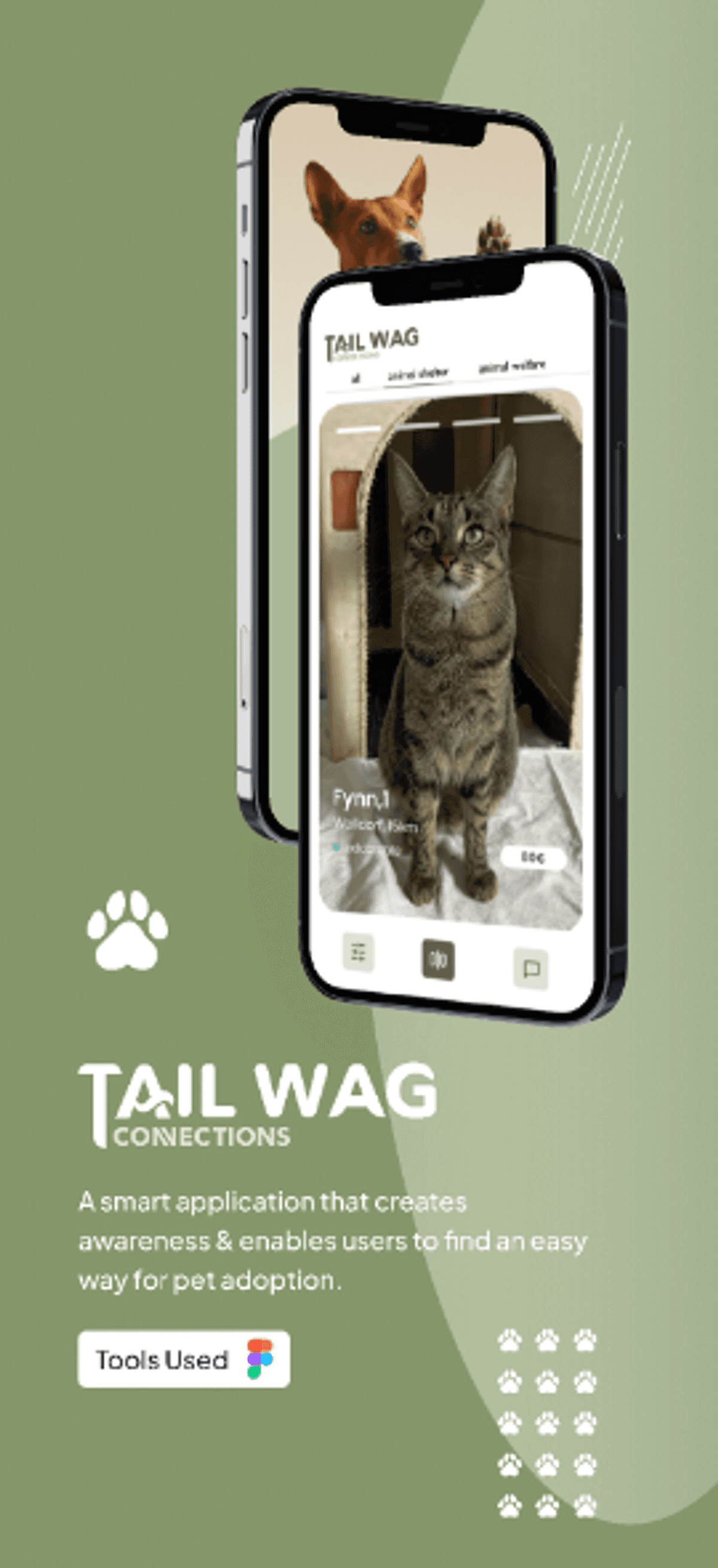 Taile Wag Verbindungen